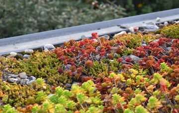 the cost of Coopers Hill green roof installation