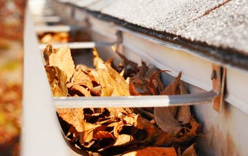 Coopers Hill gutter cleaning companies