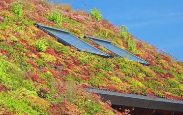 Coopers Hill living roof systems